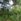Industrial Vacant Lot for Sale in Naga Valley Industrial Park, Cebu