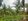 8 hectares Residential farm lot. RUSH