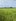 23.62 hectares Farm Lot For Sale