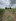 1000 SQM TITLED FARM LOT  NEAR HWAY