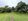 Fruitbearing affordable Mango Farmlot for sale in Carcar Cebu, Philippines