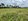Roadside Lot near Afam Bridge, General Luna, Siargao Island
