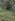 e: 100 sqm Residential Farm For Sale in Malaybalay Bukidnon