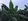 Farming area, suitable for bananas or corn,vegitable croping irrigation water available