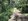 4.5 Hectare Resort-Style Residential Farm Lot in Makilala, North Cotabato