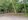 527 sqm Residential Lot For Sale in Dauin Negros Oriental