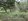 this mango farm is good for game fowl,rest house,retirement