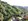 337 sqm Residential Lot For Sale in Tagaytay Cavite