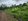 Amadeo Cavite TITLED FARMLOT 1000 up to 3000sqms (for installment)