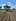 Residential Farm Lot For Sale