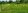 2500 sqm Farm Lot for sale in Bgy. Binulasan, Infanta Quezon