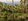Lipa Land with Mountain Views - 12000sqm Residential Zoned Lot - 120m PHP