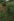 LOT IN TAGAYTAY FOR SALE!!! FARM LOT!! 2000 SQM, 12K PER SQM. Along Zambal road, Tagaytay city..
