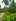 Carmen Pwd Babuyan Along Brgy Road Abunda sa Tubig Titled Lot For Sale