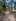 500 sqm Farm Lot For Sale in Janagdong 2 Sariaya Quezon