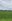 44 hectares Farm Lot For Sale in Santo Tomas Davao Del Norte