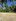 Overlooking Farm Lot For Sale in Catigan Davao City