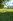 4-Hectare Farm Lot for Sale in Taysan, Legazpi City