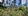 Lot for sale in dauin