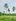 1,000 sqm TITLED Residential Farm For Sale