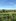 More or less 12 hectares, Along national highway, in maramag bukidnon