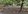 5000 sqm Residential Lot for Sale in Olongapo ,Zambales