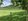 9,955 sqm Residential Farm For Sale Near Siargao