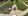 Commercial/Residential Lot For Sale in Dauis Panglao Island Bohol