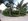 Residential/Farm Lot Rush For Sale In Mendez Cavite - Near Tagaytay Proper