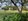 Premium Vacant Lot at STONECREST SAN PEDRO near entrance Good Buy @ only 22K/sqm