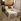 RFO 1 Bedroom For Sale at Sonora Garden Residences Las Pinas