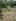 333 sqm Residential lot only for sale in Liloan Cebu
