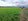 TITLED RESIDENTIAL  FARM LOT IN LUBAO PAMPANGA,FREE TRANSFER OF TITLE