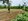 1000sq mtrs agricultural farm for sale in barili
