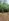 300 sqm Farm Lot For Sale in Indang Cavite