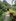 For sale 6,123 sqm Farm Lot w/ mango trees Pagbilao Quezon cash or installment