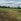 4-Hectare Farm Lot for Sale in Bago City, Negros Occidental