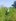 6,543 sqm Farm Lot For Sale