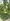 4 hectares farm lot for sale in casiguran sorsogon
