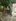 240 SQM Residential Lot with House for Renovation in Lian, Batangas
