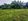 4,600 sqm Farm Lot For Sale in Tarlac City
