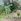 1.08 hectares Residential Farm For Sale in Indang Cavite
