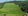 Rice Land for Sale in San Andres, Romblon