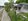 Along National Highway with big frontage.