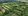 192 sqm Residential Farm For Sale in Maragondon Cavite