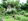 Pre-Owned 157 sqm Beach Property For Sale in Samal Davao Del Norte