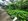 149 sqm Residential Farm For Sale in Malolos Bulacan