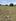 Residential Lot for Sale in Libag Sur, Tuguegarao City