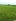 Farm Lot For Sale in Rosales Pangasinan