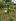 1000 sqm farm lot for sale in bgy. Talon Amadeo Cavite